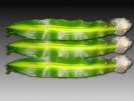 dracena_massange_50be1994c60b7